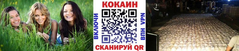 Кокаин Fish Scale  Камбарка 