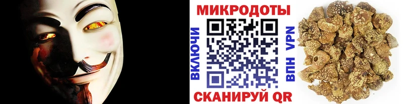 Галлюциногенные грибы ЛСД  Камбарка 